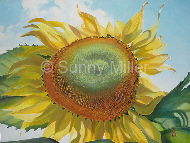 Sunflower by Sunny Miller